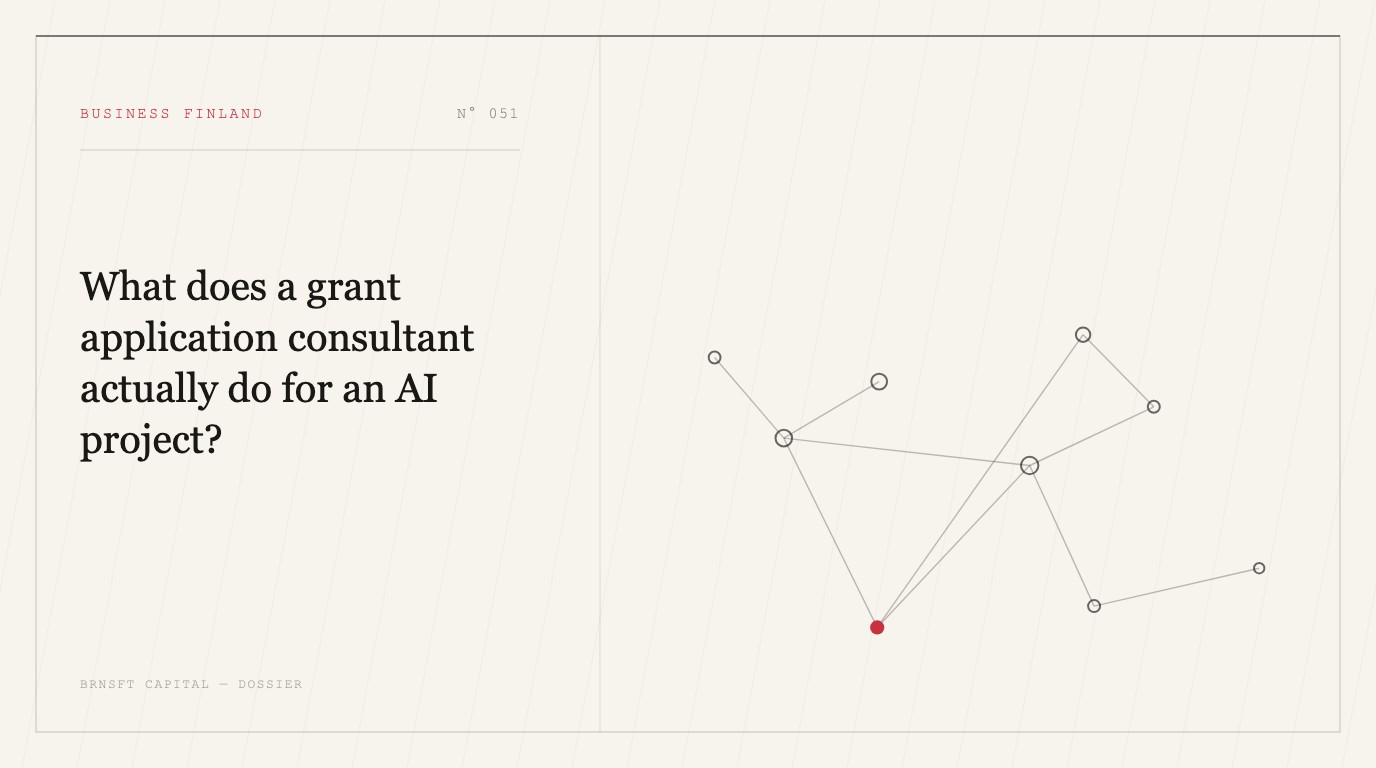 What does a grant application consultant actually do for an AI project?